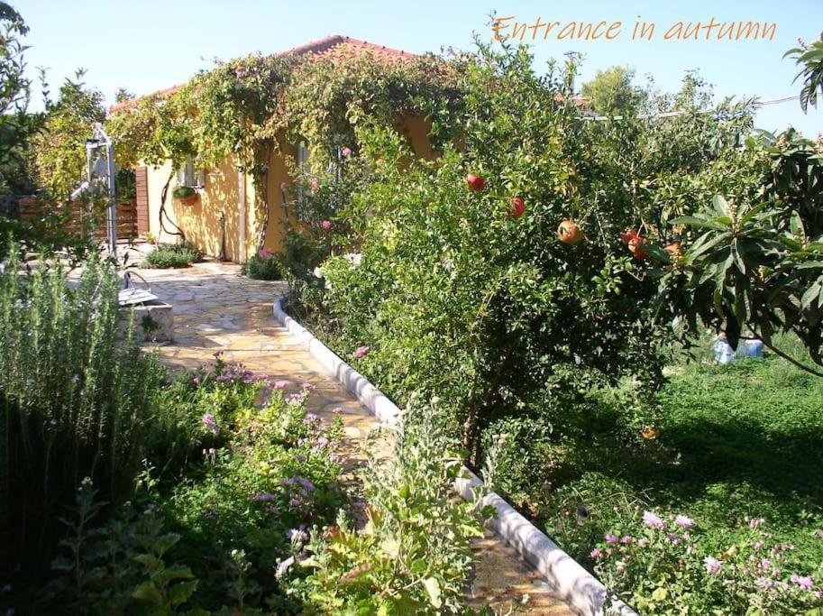 Adonino Residence-The House Of Pomegranates Lakíthra Exterior foto